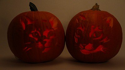 Ustream-Rebroadcast-Carved-PumpkinsIMG_2878-1280x720px